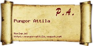 Pungor Attila névjegykártya