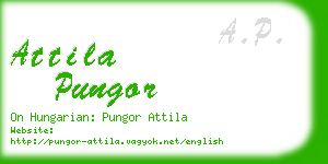 attila pungor business card
